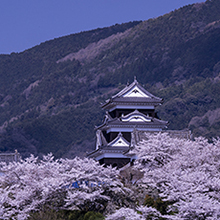 1~4月