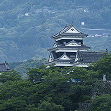 5~8月