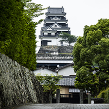 5~8月