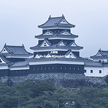 5~8月