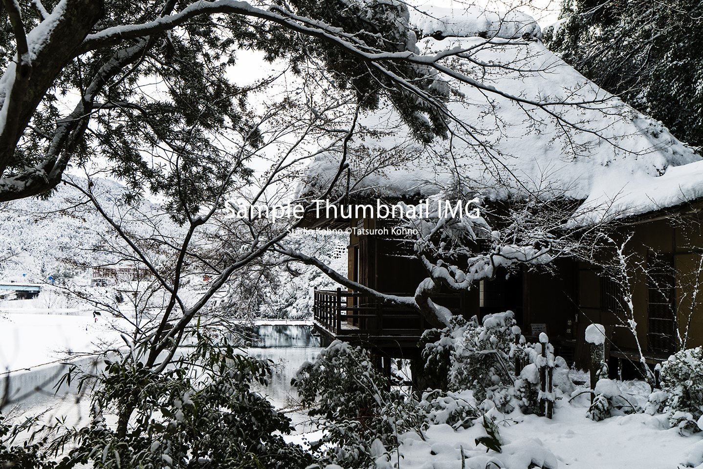 雪の臥龍山荘（2018y0112）