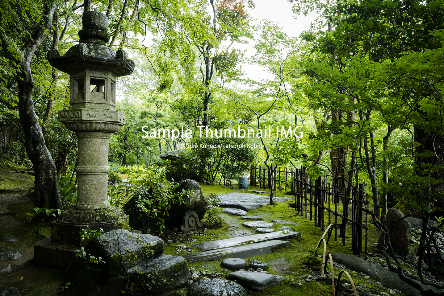 梅雨の日本庭園（2019y0711）