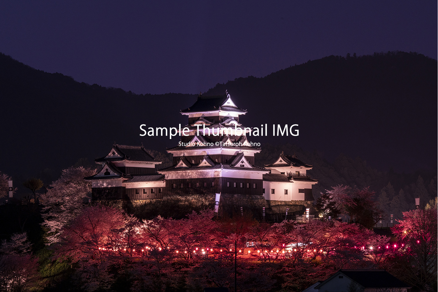 大洲城 夜桜（2018y0330）