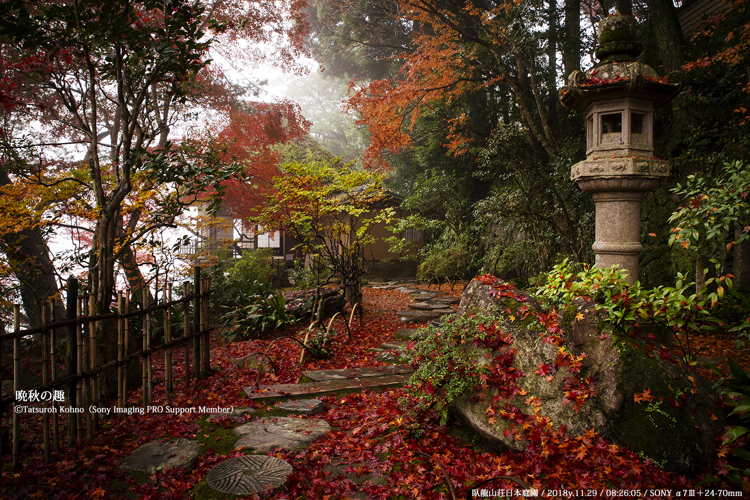 晩秋の日本庭園（南向き）