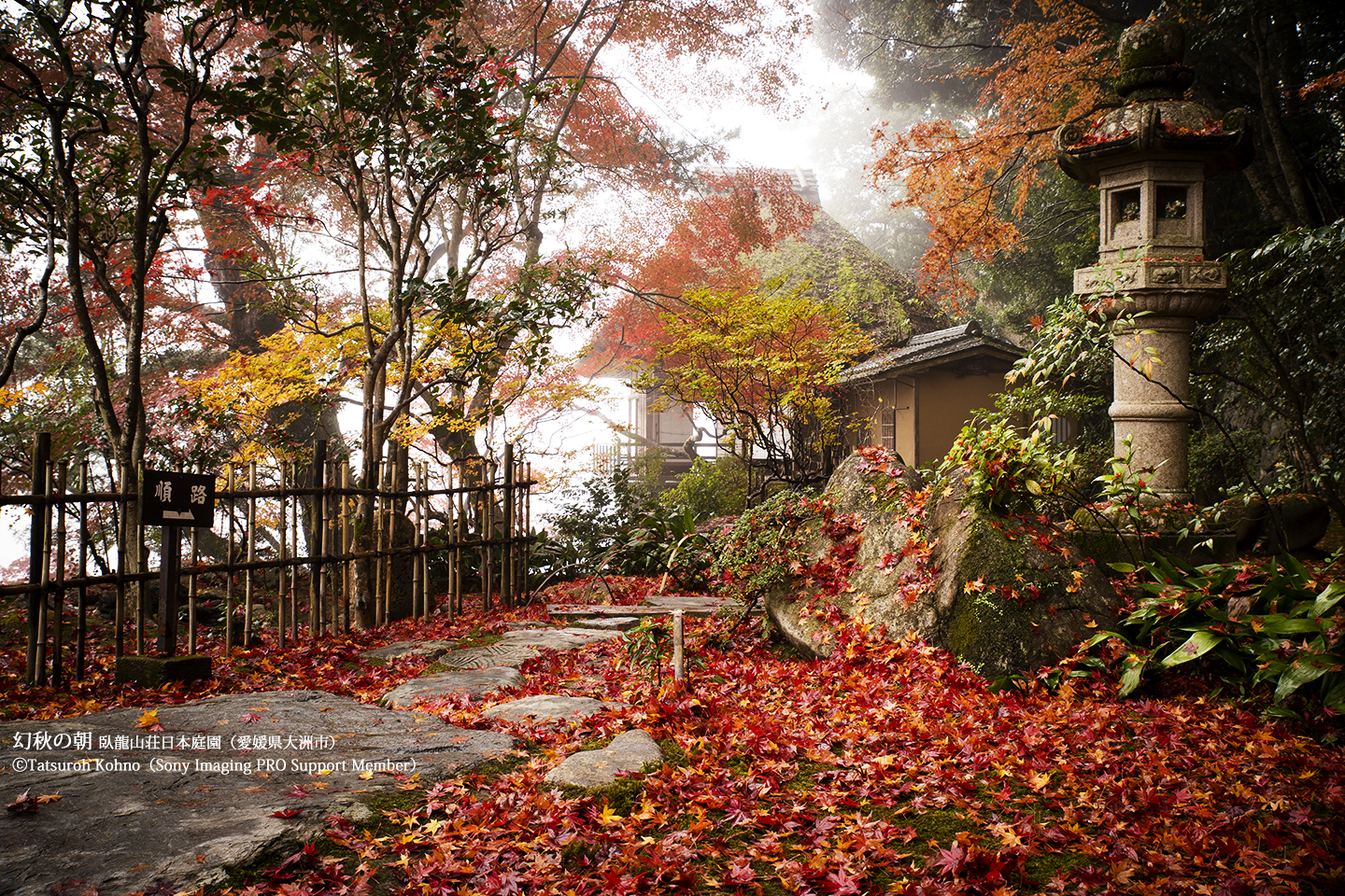 晩秋の日本庭園（南向き）